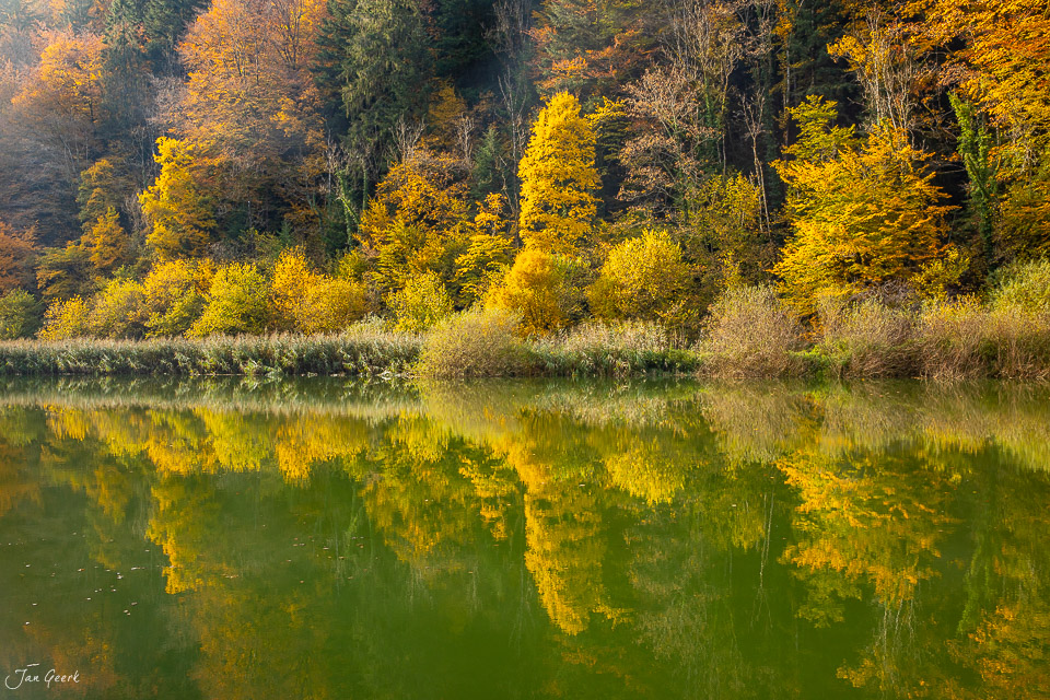 Herbstliche Flusslandschaft mit goldenem Laubwald und Spiegelung im Wasser Jura Schweiz Jan Geerk Fotograf Basel