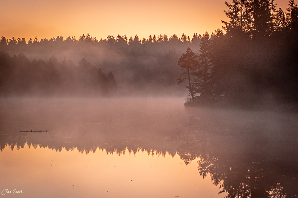Nebel über dem Etang de la Gruère im Herbst, Jura Schweiz – Jan Geerk Fotograf Basel