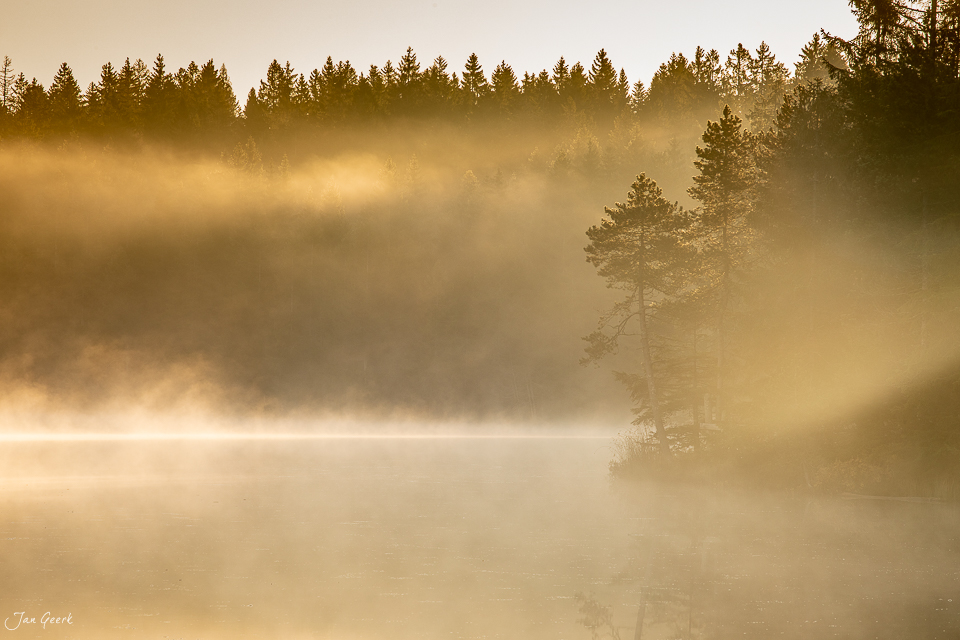 Neblige Herbstlandschaft am Étang de la Gruère Jura Schweiz – Jan Geerk Fotograf Basel