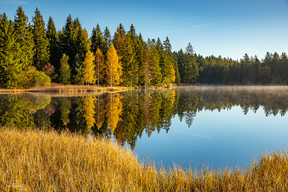 Spiegelglatter See mit Herbstwald und goldenen Lärchen am Étang de la Gruère Schweiz Jan Geerk Fotograf Basel