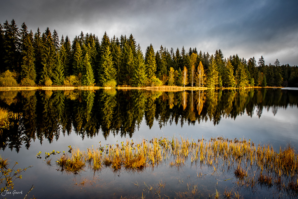Spiegelglatte Seefläche mit Herbstwald und Schilfgürtel Etang de la Gruère Jura Schweiz – Jan Geerk Fotograf Basel