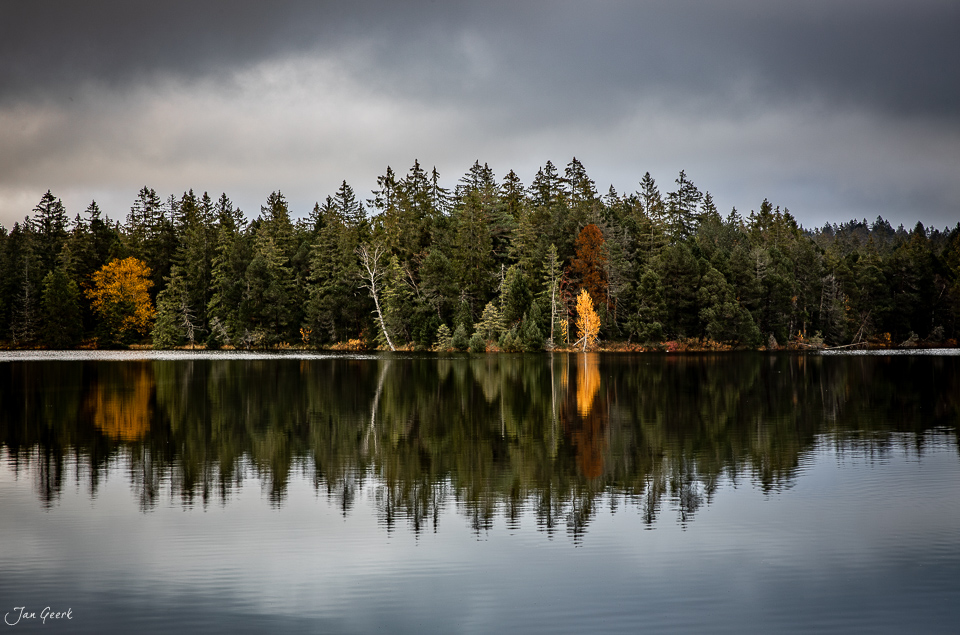 Herbstliche Waldspiegelung im Etang de la Gruère, Jura, Schweiz – Jan Geerk Fotograf Basel