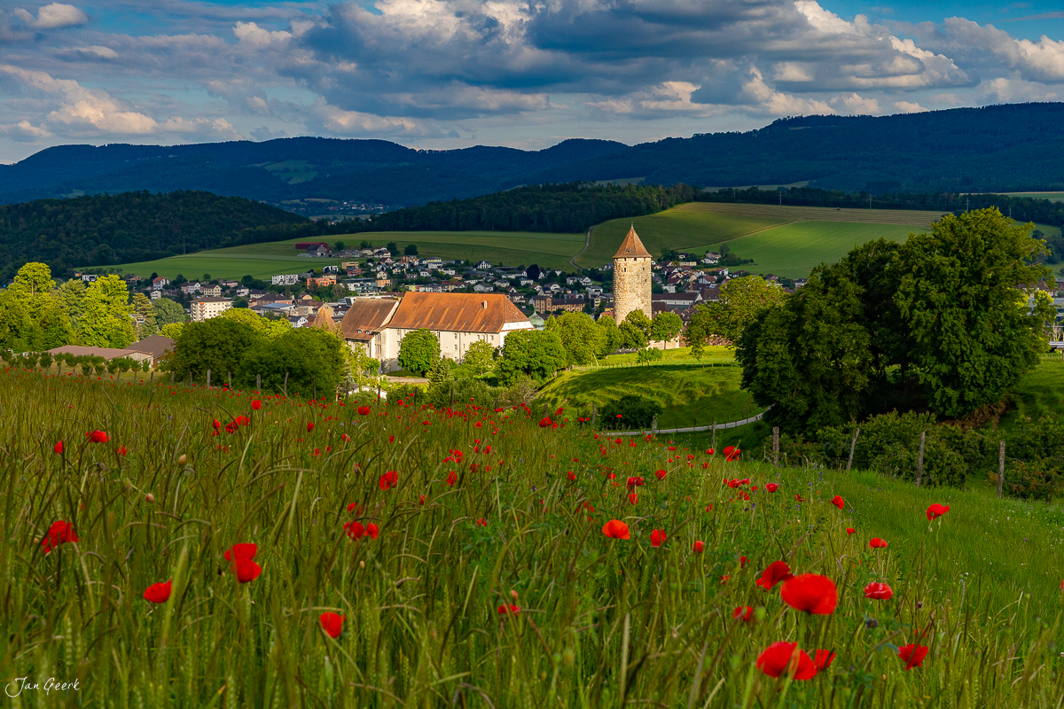 Mohnblüten und Schloss Porrentruy im Jura, Sommerlicht und grüne Landschaft, Schweiz – Jan Geerk Fotograf Basel