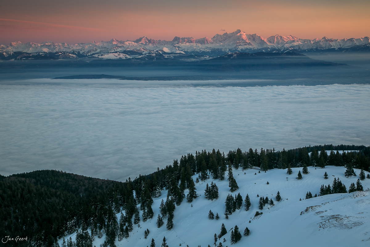 Schneebedeckte Berghänge mit Föhrenwälder über Nebelmeer bei La Dole im Jura Schweiz – Jan Geerk Fotograf Basel