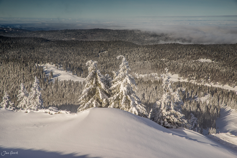 Schneebedeckte Fichten und Tannen auf der Dole mit Blick ins Flachland, Winterlandschaft Jura Schweiz – Jan Geerk Fotograf Basel