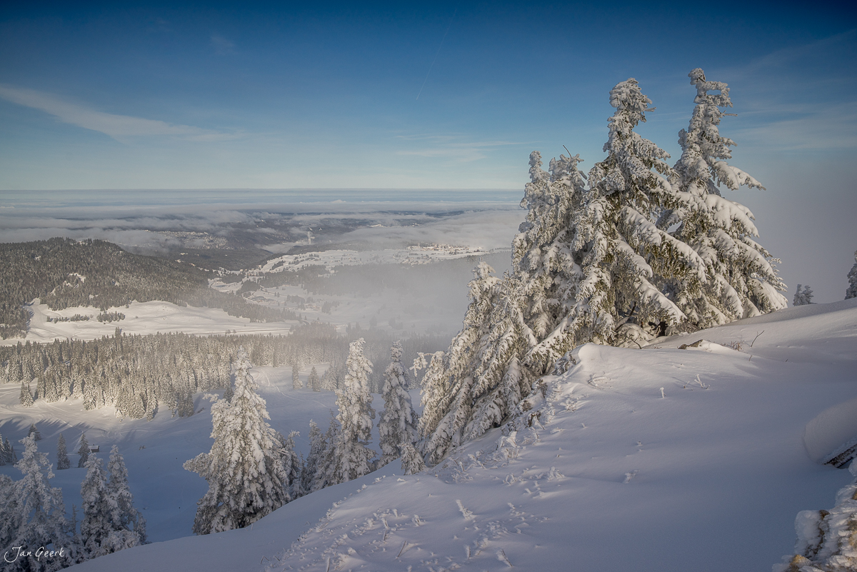Verschneite Fichten und Panoramablick über La Dole im Jura während Winter in der Schweiz – Jan Geerk Fotograf Basel