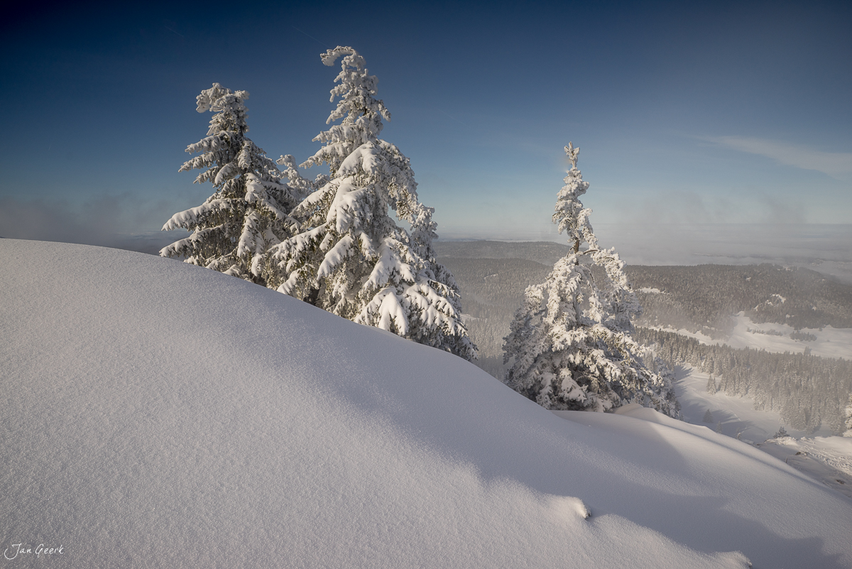 Schneebedeckte Fichten auf der Dole im Jura Winter Schweiz – Jan Geerk Fotograf Basel