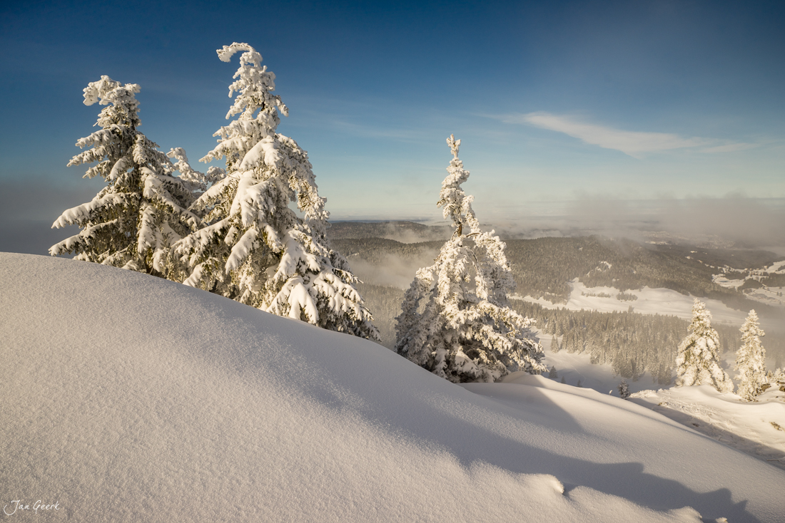 Verschneite Fichten auf La Dole mit Blick ins Tal, Winterlandschaft Jura Schweiz – Jan Geerk Fotograf Basel