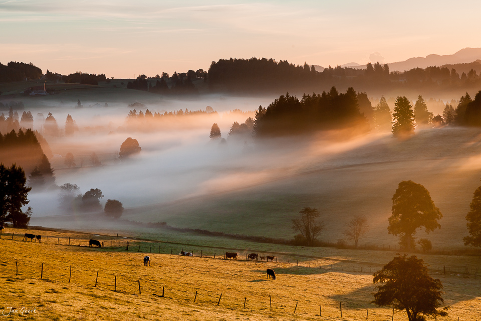 Pferdenweiden Nebelmeer Sonnenaufgang Herbst Franches Montagnes Jura Schweiz Jan Geerk Fotograf Basel