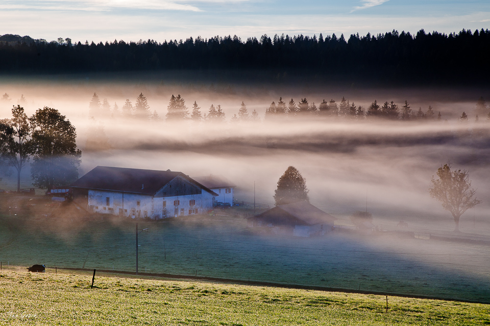 Bauernhaus Nebel Herbst Saignelegier Franches-Montagnes Jura Schweiz Jan Geerk Fotograf Basel