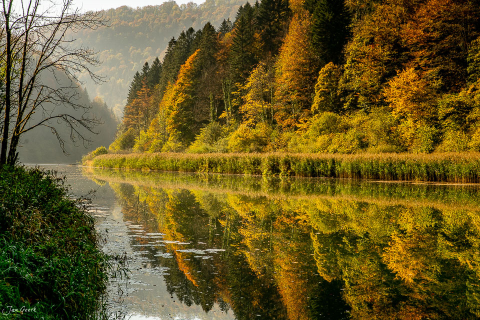 Herbstliche Waldlandschaft am Fluss in goldenen Farben, Jura Region Schweiz – Jan Geerk Fotograf Basel