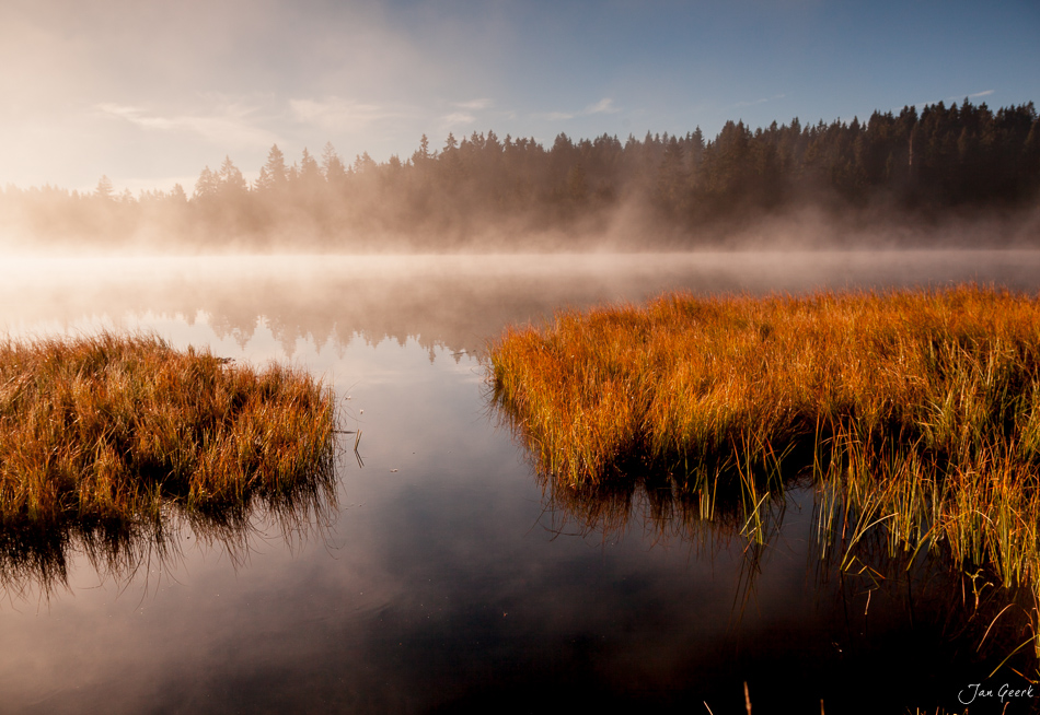 Herbstliche Schilflandschaft am Étang de la Gruère Jura Schweiz Nebel Sonnenaufgang Jan Geerk
