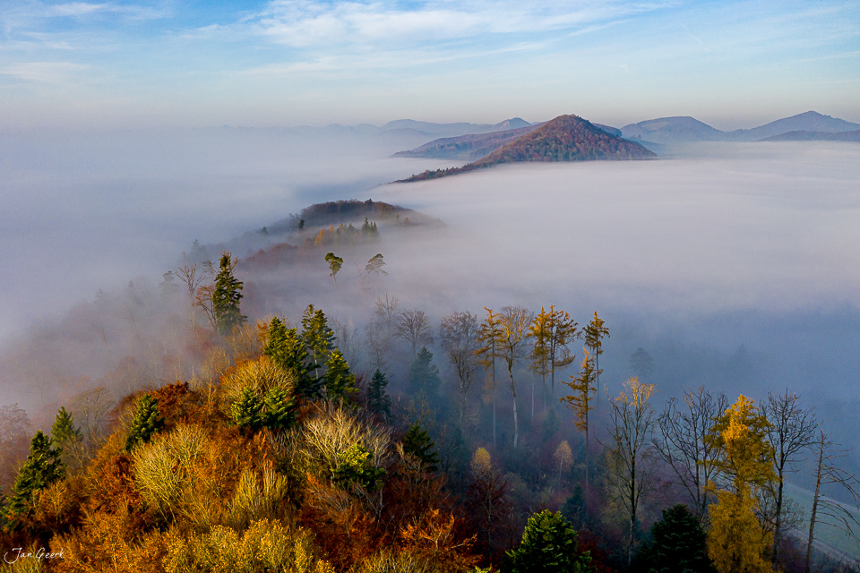 Herbstliche Nebelwelle über der Gisliflue mit Wald und fernen Bergen in der Nordwestschweiz – Jan Geerk Fotograf Basel