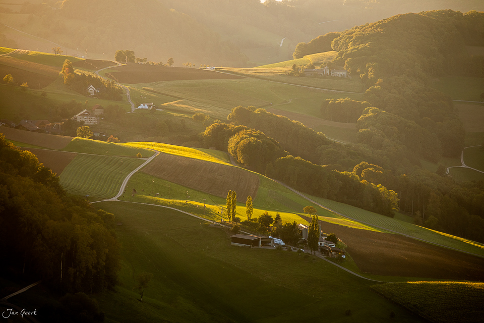Rolling green hills and golden fields at Gislifluh in summer light, Aargau region Switzerland – Jan Geerk Fotograf Basel