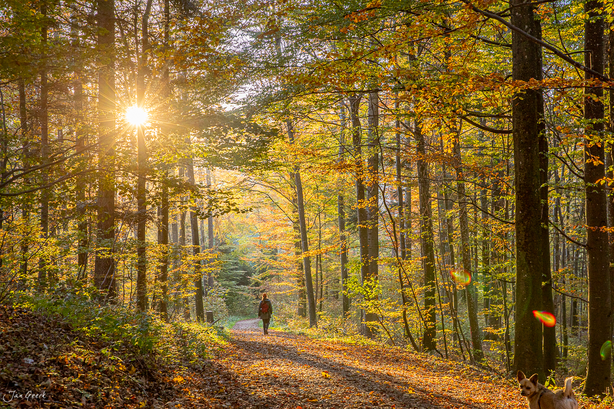 Wanderer im Herbstwald Wasserfluh bei Kantlicht, Aargau Schweiz – Jan Geerk Fotograf Basel