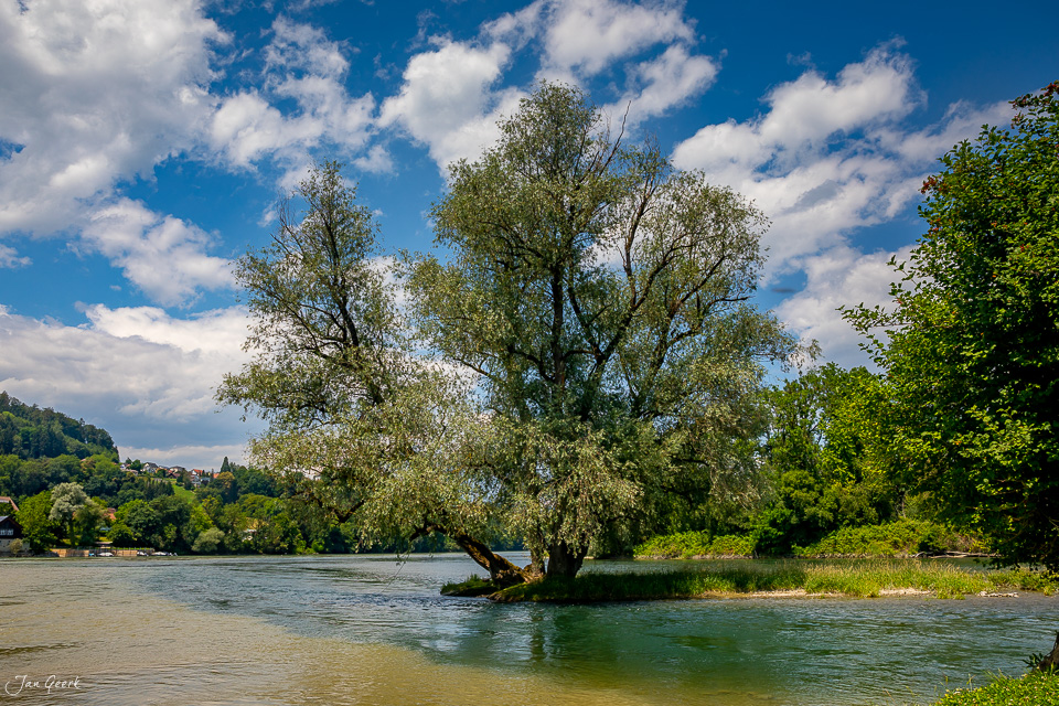 Weide am Fluss Aare bei Brugg im Sommer, Nordwestschweiz – Jan Geerk Fotograf Basel
