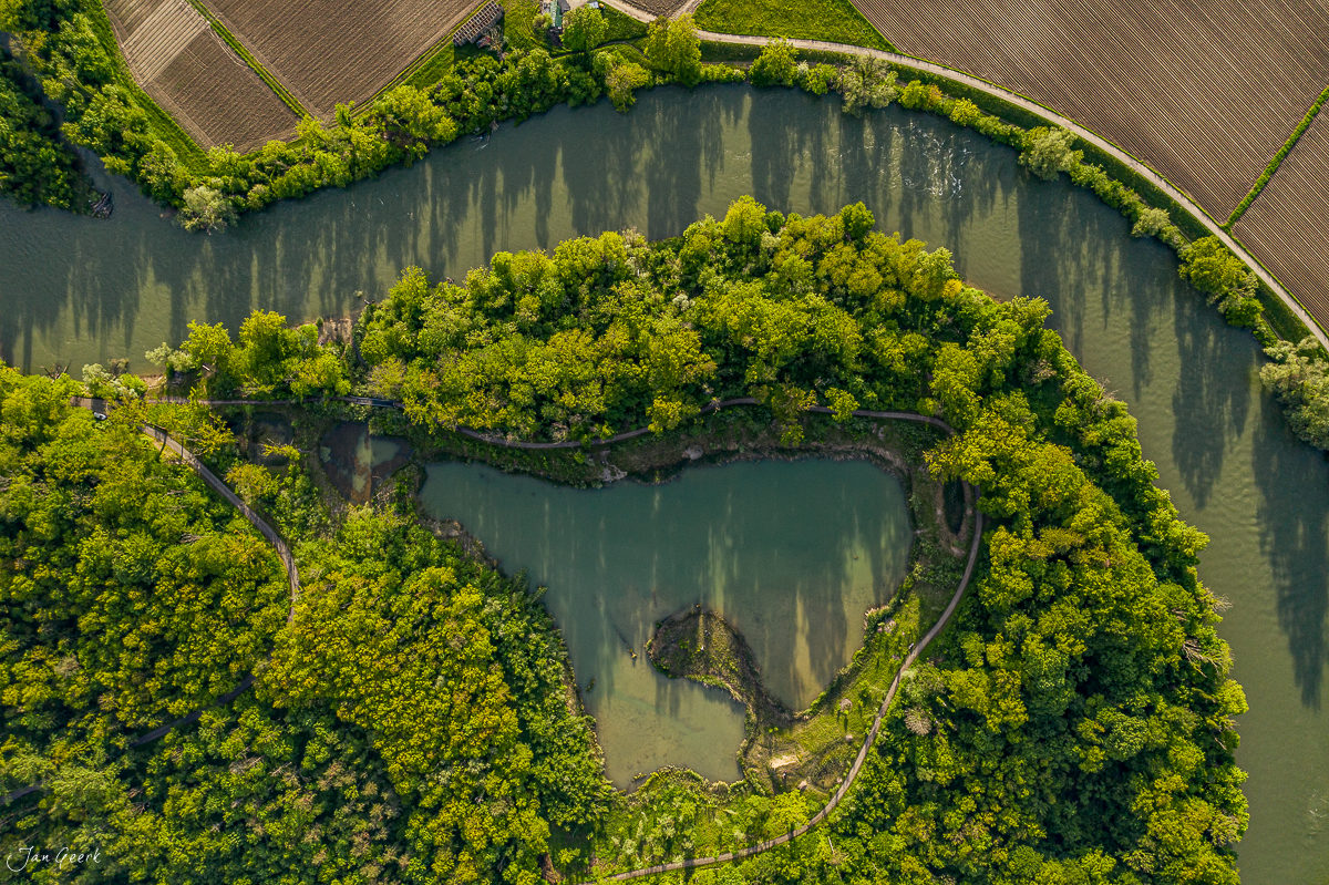 Luftaufnahme der Reussschlaufe bei Hegnau mit grünen Bäumen und Pappelreihen, Sommerlichtstimmung, Aargau Schweiz – Jan Geerk Fotograf Basel