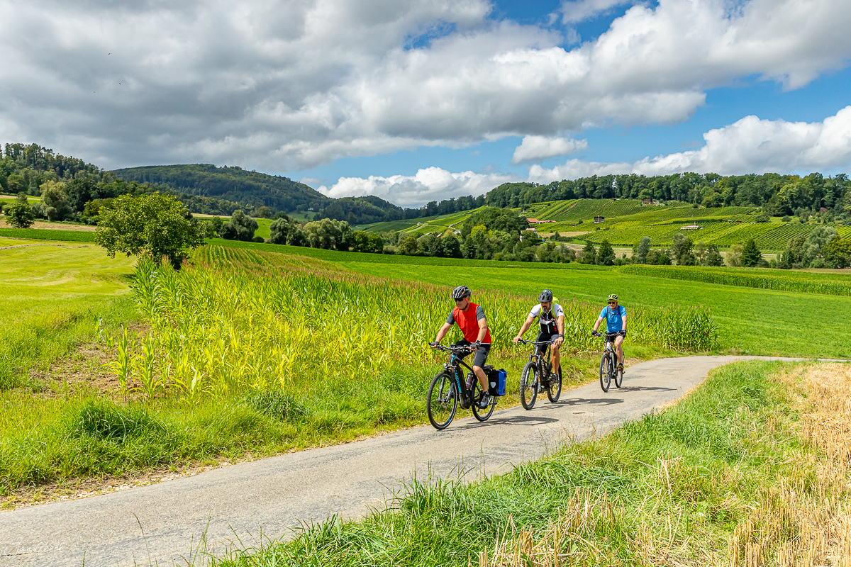 Drei Radfahrer auf Landweg durch grüne Felder bei Aesch, Baselbiet, Sommer in der Schweiz – Jan Geerk Fotograf Basel