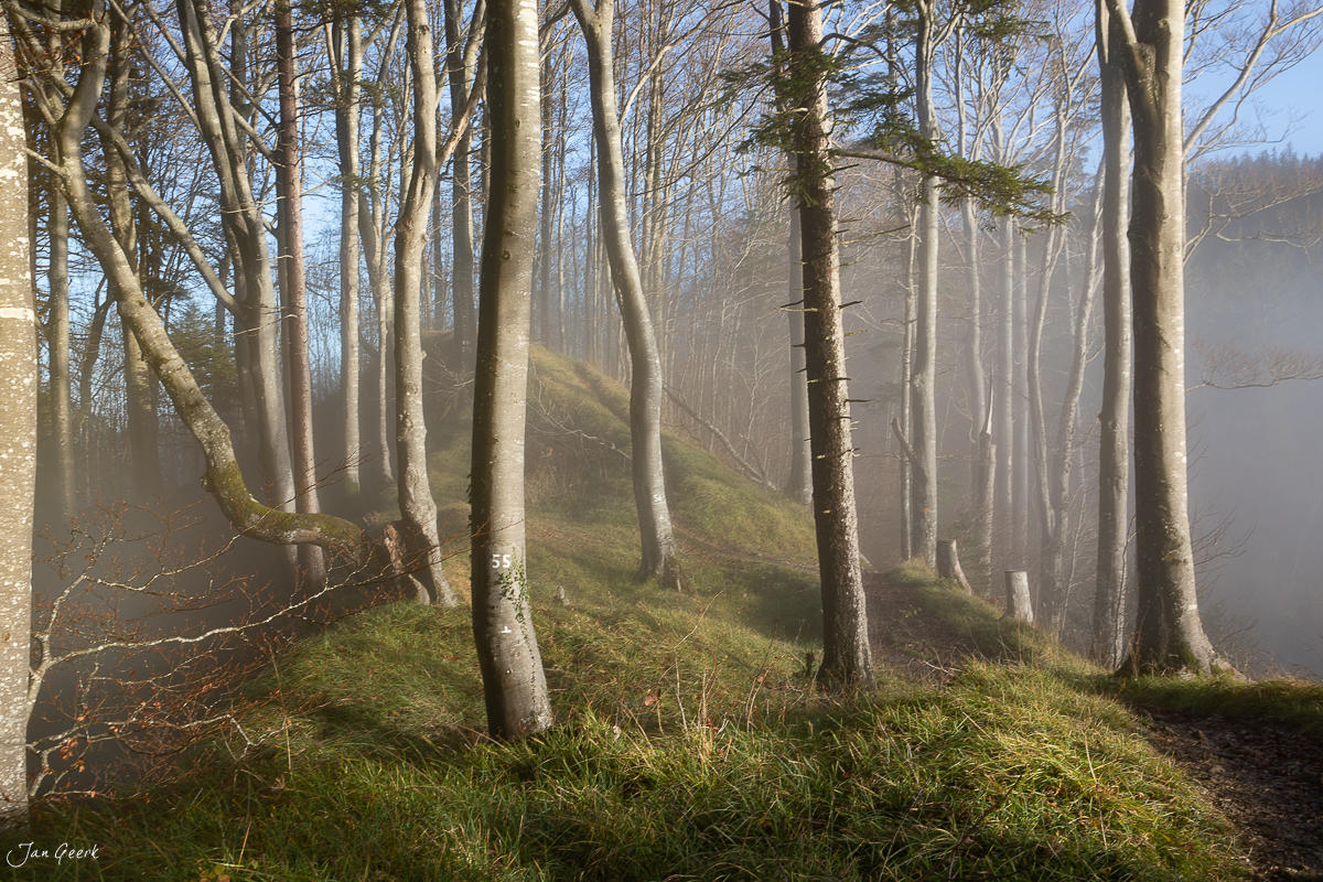Buchenwaldpfad durch Nebelmeer im Herbst auf dem Ankenballen in der Belchenregion Schweiz von Jan Geerk Fotograf Basel