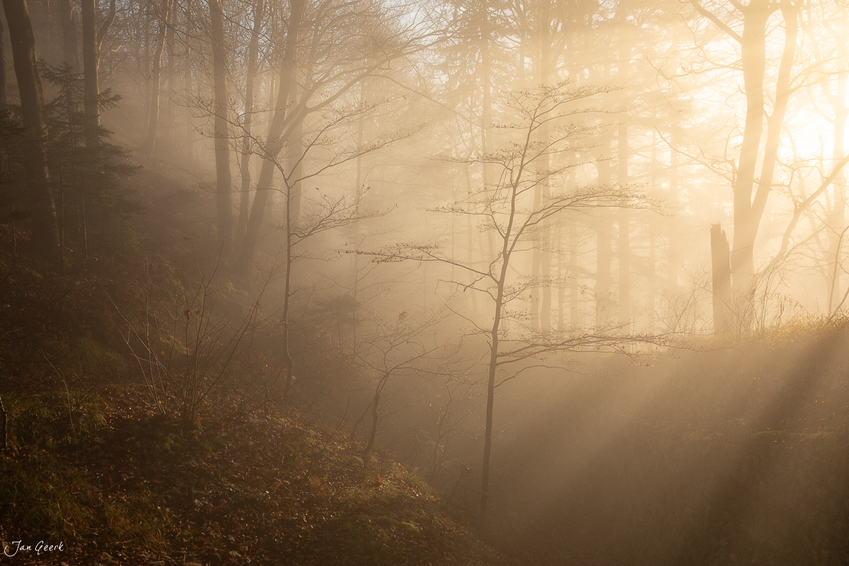 Nebelmeer im Herbst an den Ankenballen im Baselbiet, Kantlicht durchbricht den Nebel, Schweiz – Jan Geerk Fotograf Basel