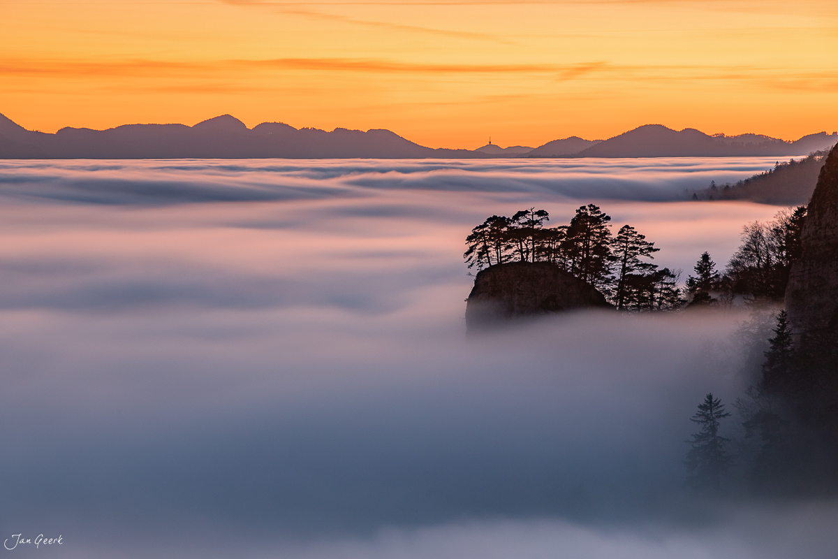 Nebelmeer über Ankenballen mit Föhrenwäldchen im Herbst, Baselland Schweiz – Jan Geerk Fotograf Basel