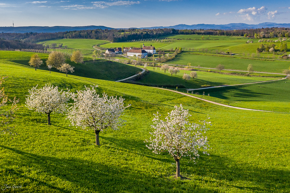 Blühende Obstbäume in Arisdorf mit Dorfkirche und grünen Wiesen im Frühling, Baselland Schweiz – Jan Geerk Fotograf Basel