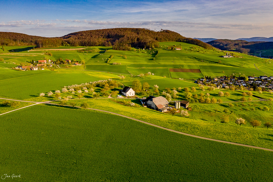 Luftaufnahme Arisdorf Frühling grüne Felder Baselland Schweiz Jan Geerk Fotograf Basel