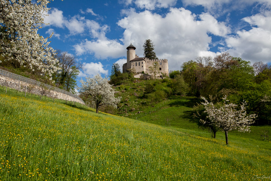 Schloss auf grünem Hügel mit blühenden Kirschbäumen im Frühling in Arlesheim Schweiz – Jan Geerk Fotograf Basel