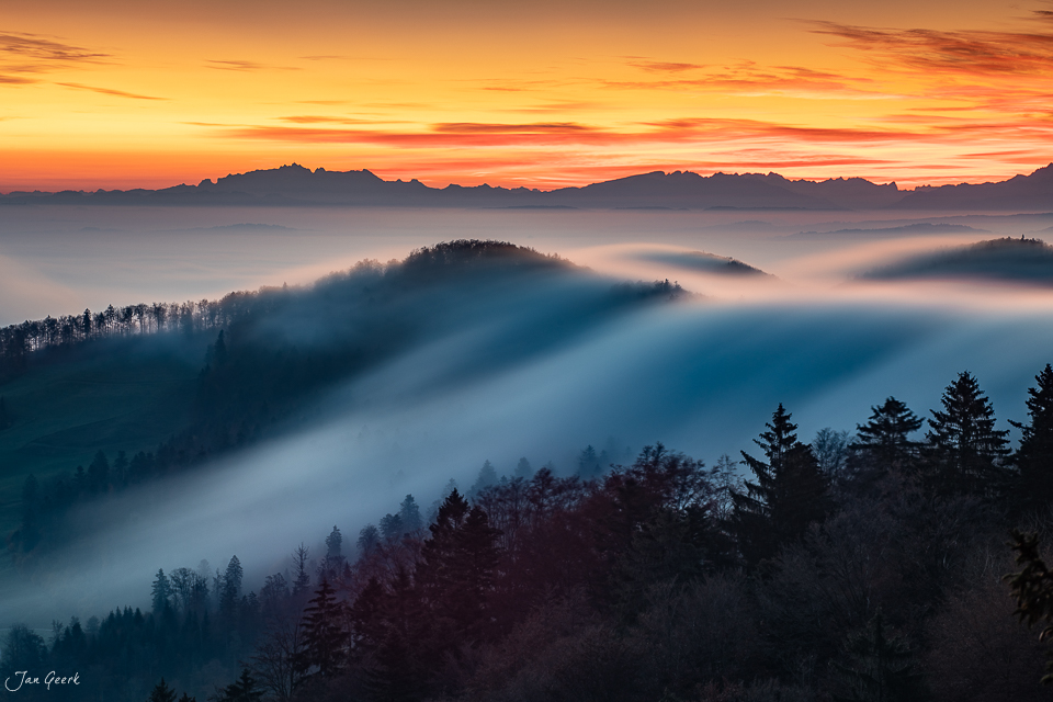 Nebelmeer über bewaldeten Hügeln am Bölchen mit Alpenkette im Sonnenaufgang Schweiz – Jan Geerk Fotograf Basel