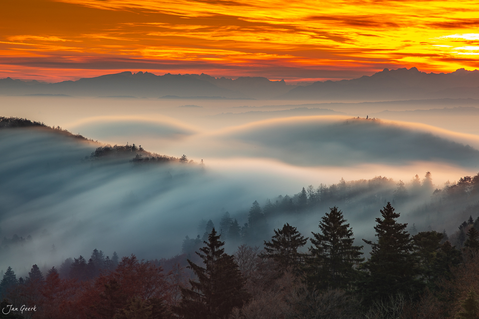 Nebelmeer über bewaldeten Hügeln am Bölchen bei Sonnenaufgang, Nordwestschweiz – Jan Geerk Fotograf Basel