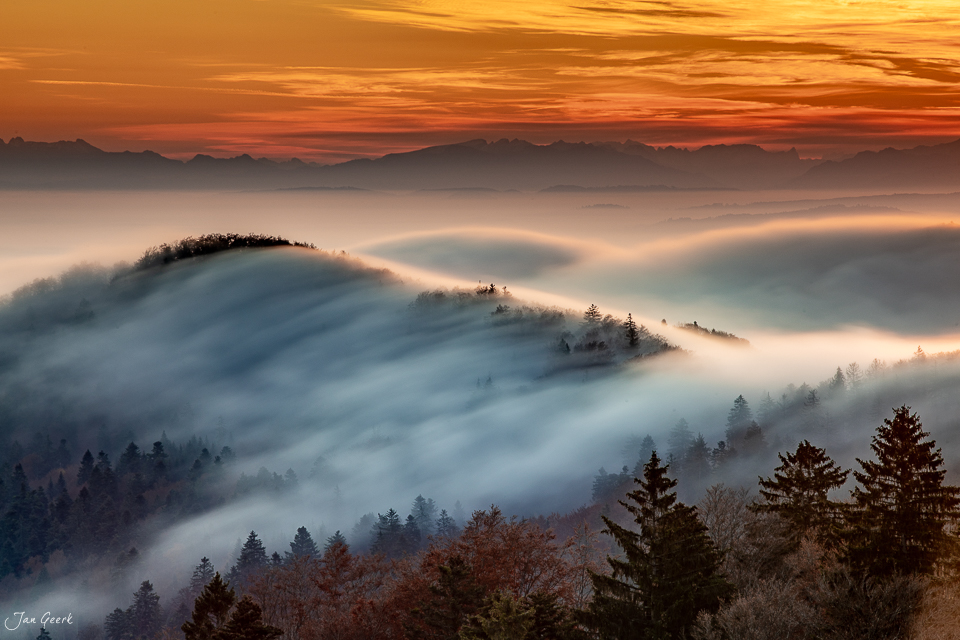 Nebellandschaft über Hügelketten mit Tannenwäldern bei Sonnenaufgang Nordwestschweiz Schweiz – Jan Geerk Fotograf Basel