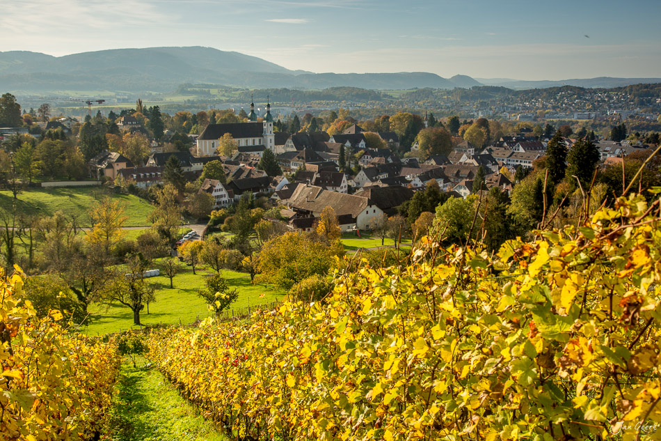 Herbstliche Weinberge und Dorfansicht von Arlesheim mit Kirche, Jura-Berge im Hintergrund, Baselland Schweiz – Jan Geerk Fotograf Basel