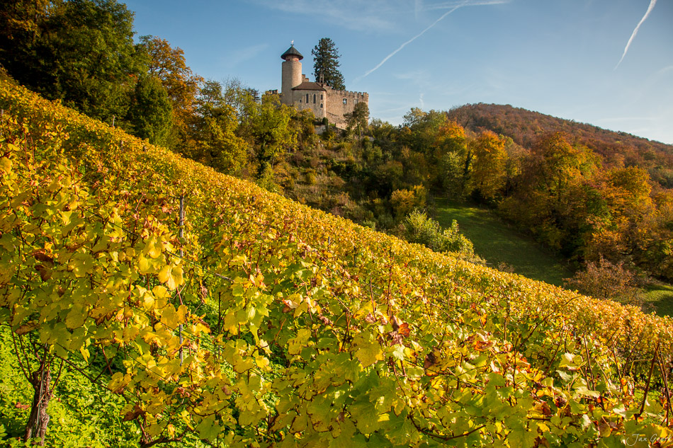Herbstliche Weinberge mit Schloss Dornach im Hintergrund, Baselland Schweiz – Jan Geerk Fotograf Basel