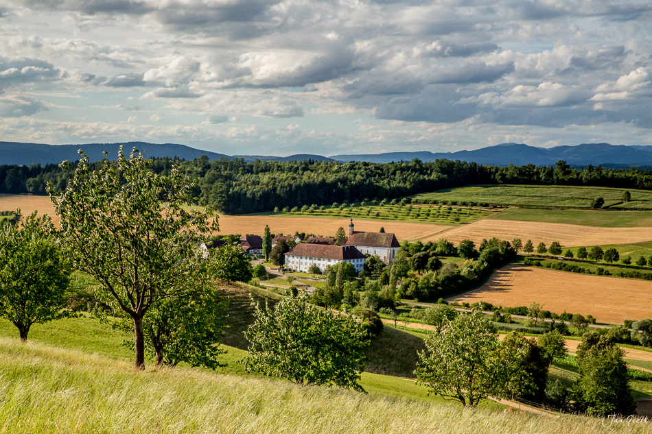 Maisprach Landschaft mit Bauernhof, grüne Felder und Berge bei Sonnenschein, Baselland Schweiz – Jan Geerk Fotograf Basel