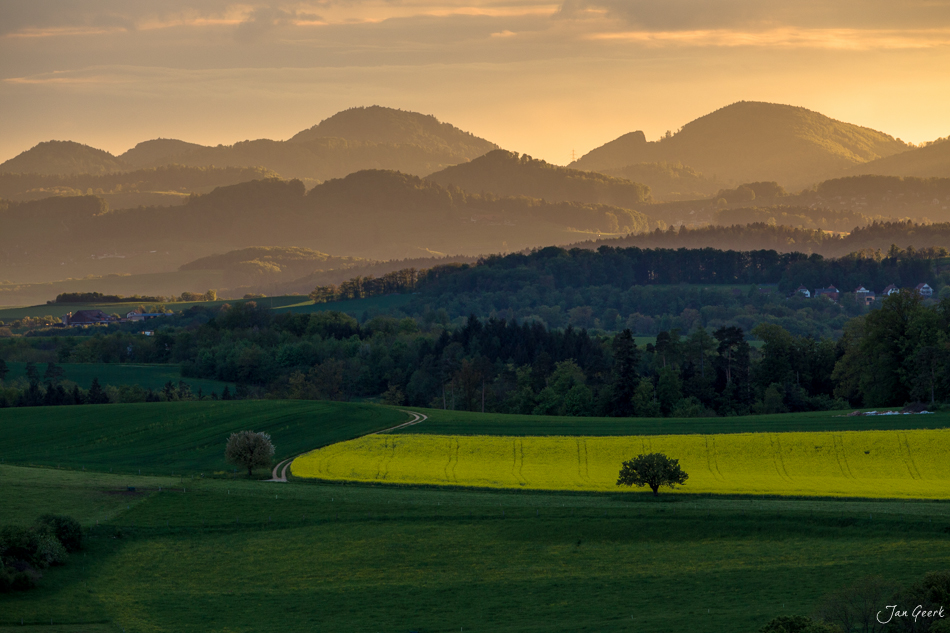 Rapsfelder Maisprach Frühling Baselbiet Schweiz Jan Geerk Fotograf Basel
