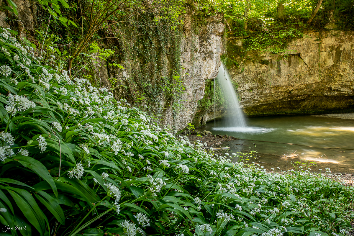 Wasserfall mit weißen Frühjahrsblüten Giessen Baselland Schweiz – Jan Geerk Fotograf Basel