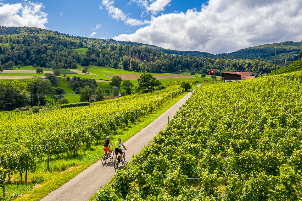 Zwei Radfahrer auf Weg zwischen Rebbergen in Aesch-Klus bei Basel, grüne Weinberge, Sommer, Nordwestschweiz – Jan Geerk Fotograf Basel