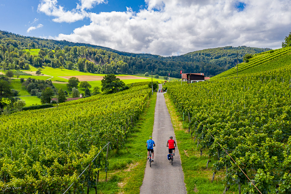 Zwei Radfahrer auf Feldweg zwischen Rebbergen in Aesch Baselland, grüne Sommerlandschaft, Schweiz – Jan Geerk Fotograf Basel