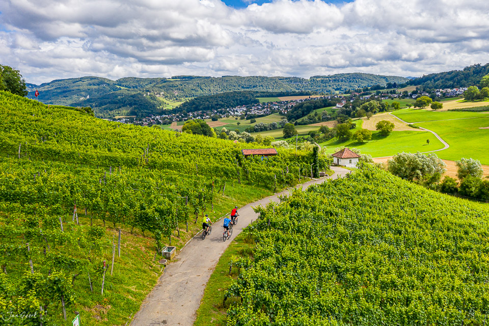 Radfahrer auf Feldweg durch grüne Rebberge in Aesch-Klus, sonniges Sommerwetter, Baselland Schweiz – Jan Geerk Fotograf Basel