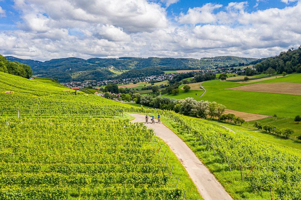 Rebberg Weinreben Aesch Klus grüne Landschaft Sommer Baselland Schweiz Jan Geerk Fotograf Basel