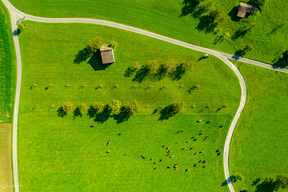 Luftaufnahme Arboltswil mit Wiesen, Bäumen und Weidetieren im Sommer, Baselland Schweiz – Jan Geerk Fotograf Basel