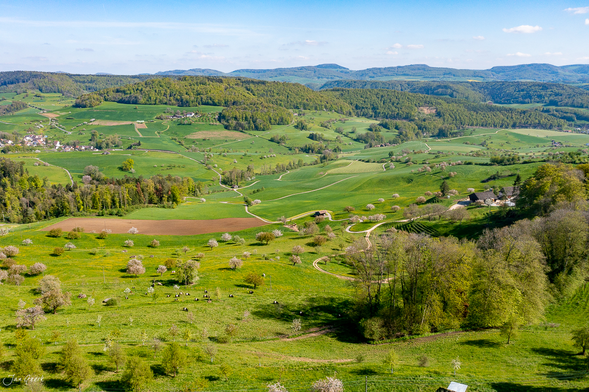 Luftaufnahme Baselland Frühling grüne Hügel Wiesen Obstbäume Schweiz Jan Geerk Fotograf Basel