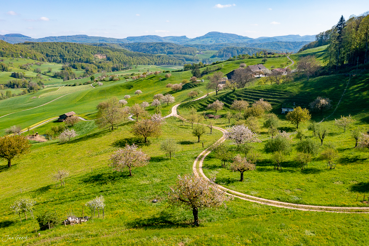 Blühende Obstbäume und Landstraße im Frühling über Baselland Schweiz Jan Geerk Fotograf Basel