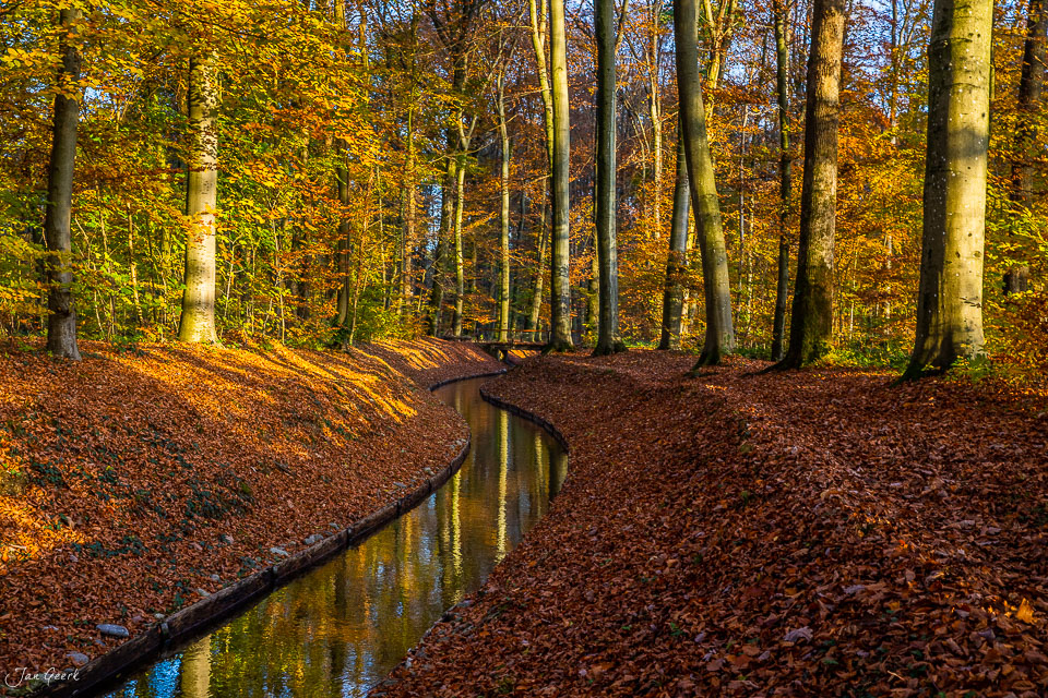 Herbstwald mit Bachlauf im Hardwald bei Muttenz, goldenes Kantlicht, Nordwestschweiz – Jan Geerk Fotograf Basel