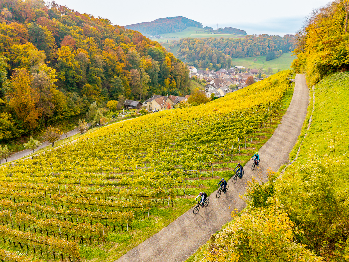 Radfahrer auf Rebenroute durch Herbst-Rebberge Baselland Schweiz – Jan Geerk Fotograf Basel