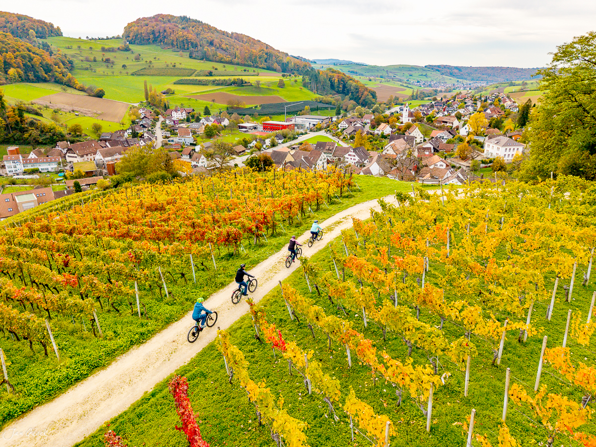 Radfahrer auf Rebenroute durch Herbst-Rebberge mit Dorf im Tal, Baselland Schweiz – Jan Geerk Fotograf Basel
