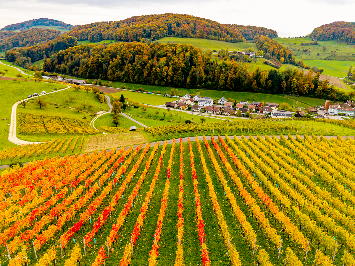 Herbstliche Weinreben in Baselland mit Herbstfärbung, Dorf und Waldlandschaft, Luftaufnahme Schweiz – Jan Geerk Fotograf Basel