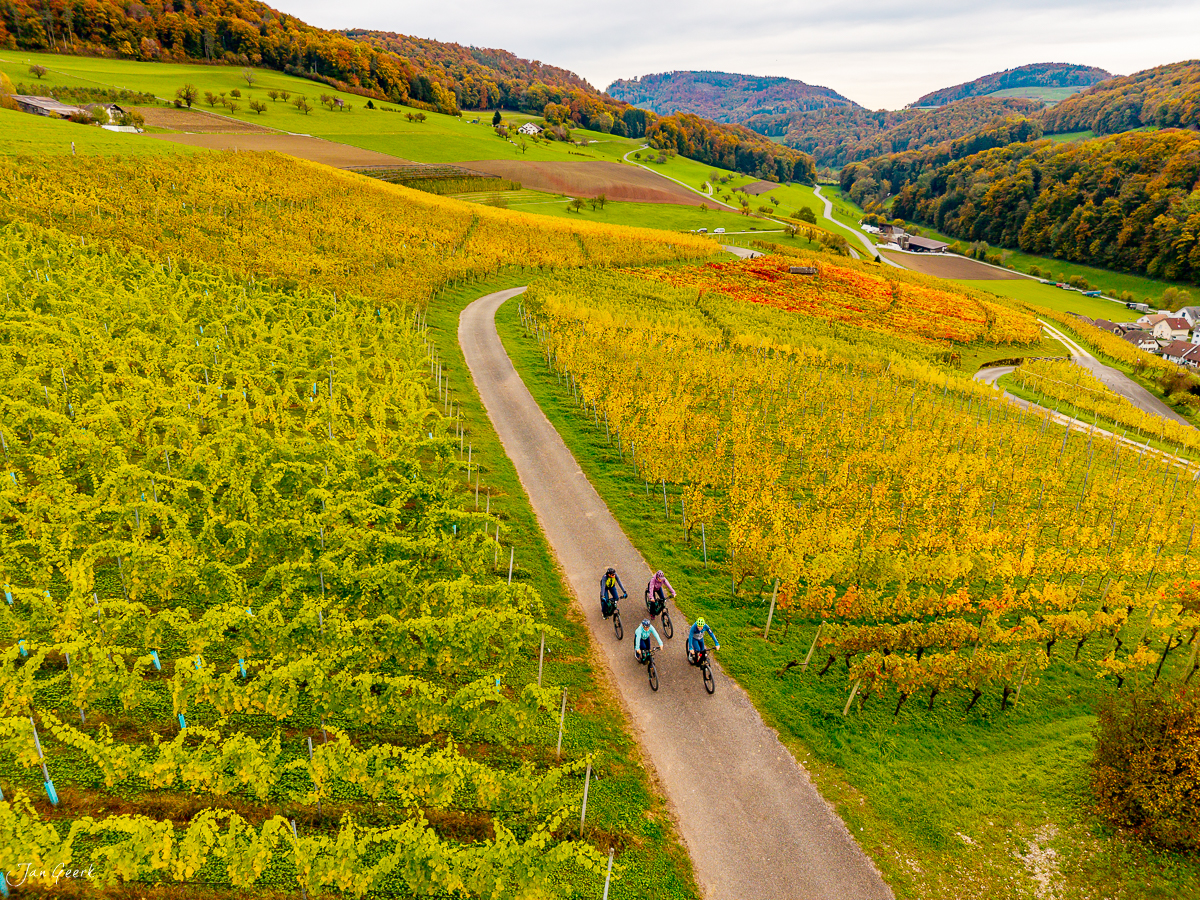 Mountainbiker auf Rebenroute Baselland herbstliche Weinberge Luftaufnahme Schweiz Jan Geerk Fotograf Basel