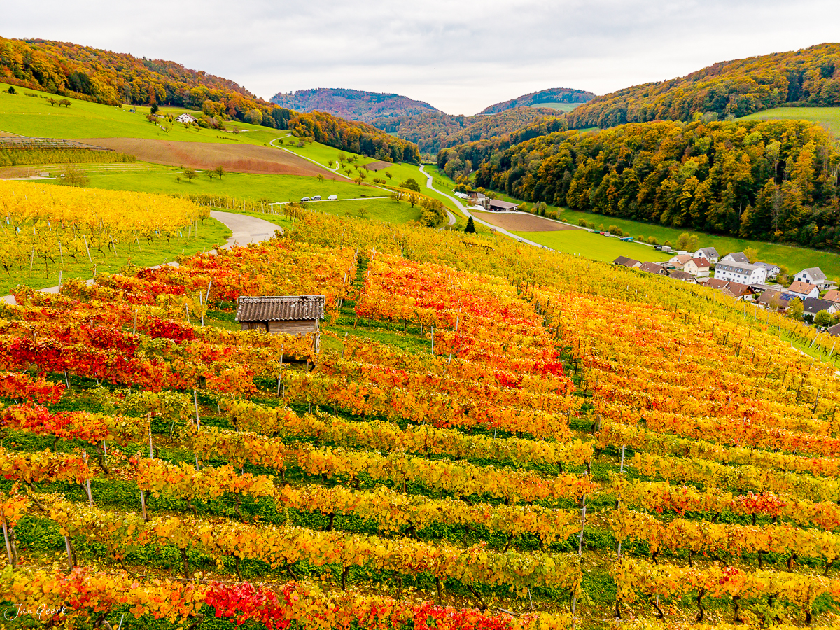 Herbstliche Weinreben in Baselland mit Herbstfärbung, Luftaufnahme Rebenroute Schweiz – Jan Geerk Fotograf Basel