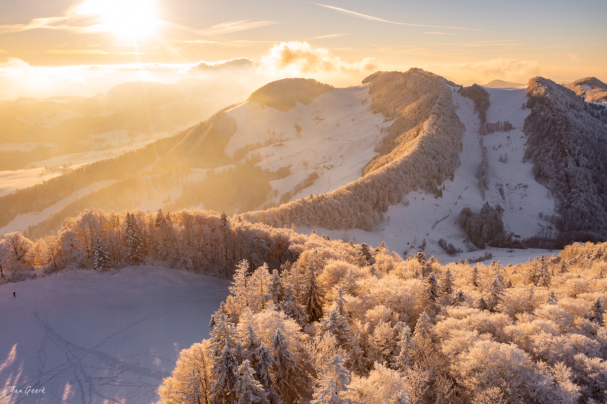 Schneebedeckte Waldweid Berglandschaft im Morgenlicht mit Föhrenbäumen und Tal, Baselland Schweiz – Jan Geerk Fotograf Basel